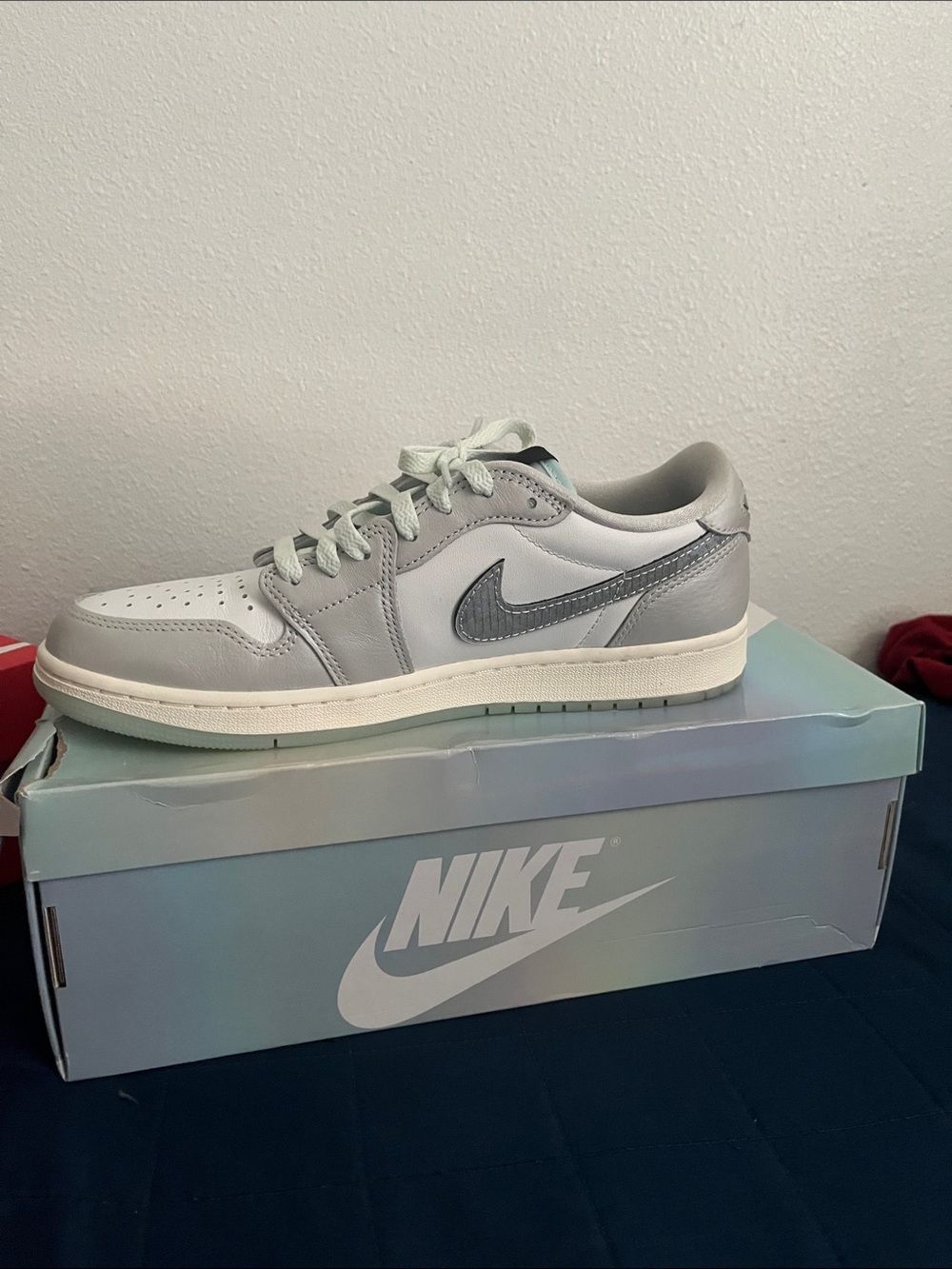 Nike Men’s Low-Top Sneakers in Light Gray and White with Silver Swoosh